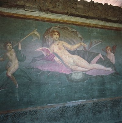 Venus Sailing the Sea by Roman